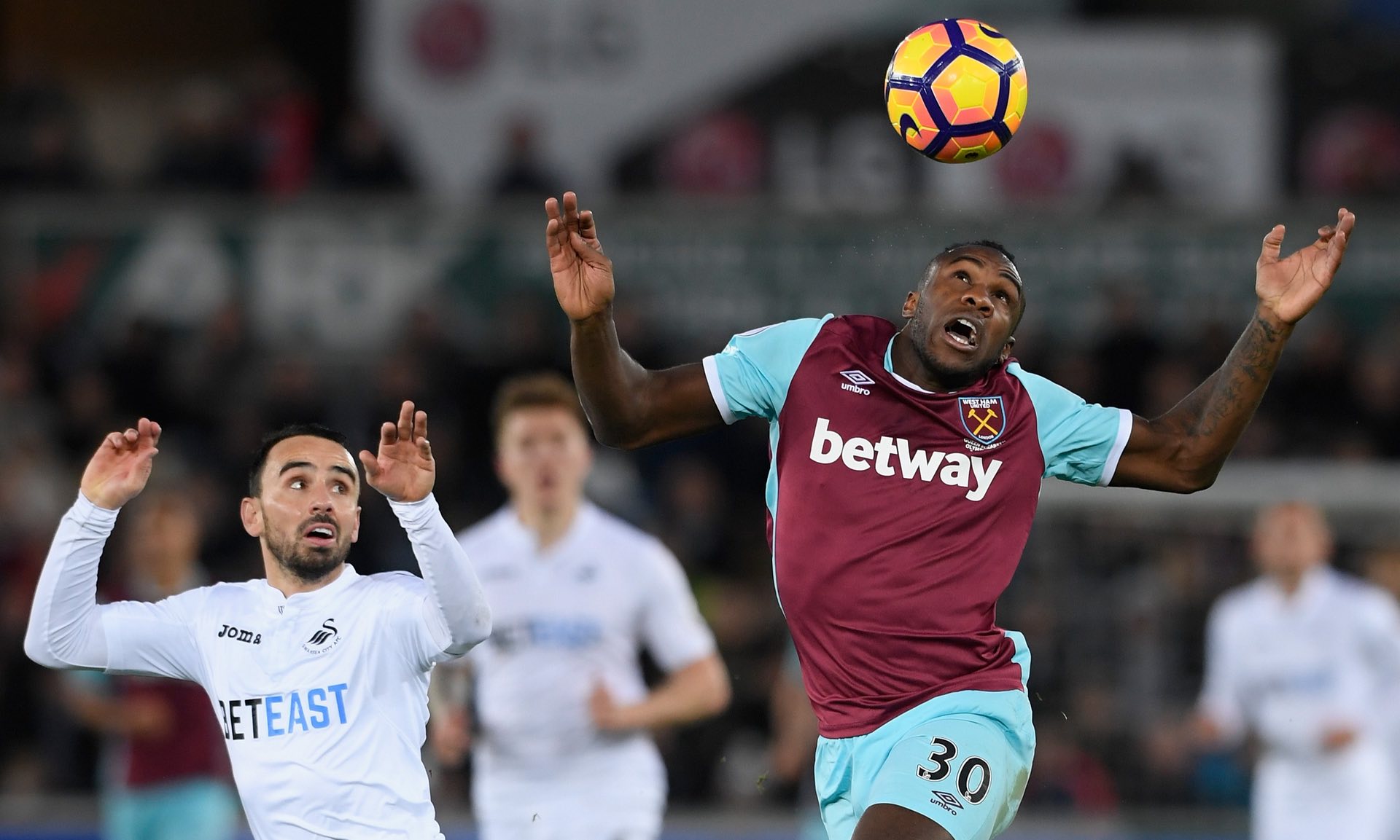 体的热议焦 体的热议焦